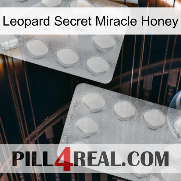 Leopard Secret Miracle Honey 17.jpg